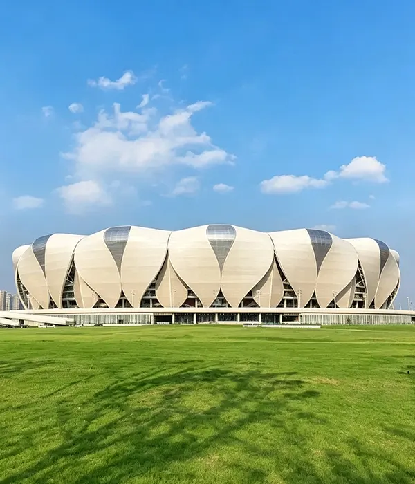 Hangzhou Asian Games